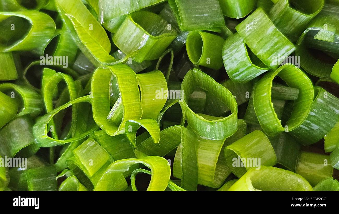 Freshly Chopped Green Onions – Macro Close-Up of Spring Onion Slices - Smartphone Captured Stock Image Freshly Chopped Green Onions – Macro Close-Up of Spring Onion Slices - Smartphone Captured Stock Image