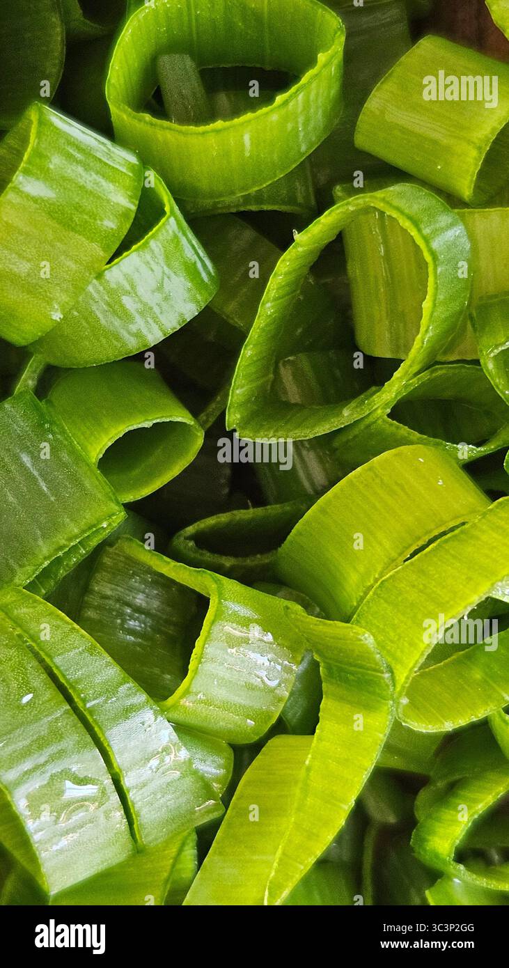 Freshly Chopped Green Onions – Macro Close-Up of Spring Onion Slices - Smartphone Captured Stock Image Freshly Chopped Green Onions – Macro Close-Up of Spring Onion Slices - Smartphone Captured Stock Image