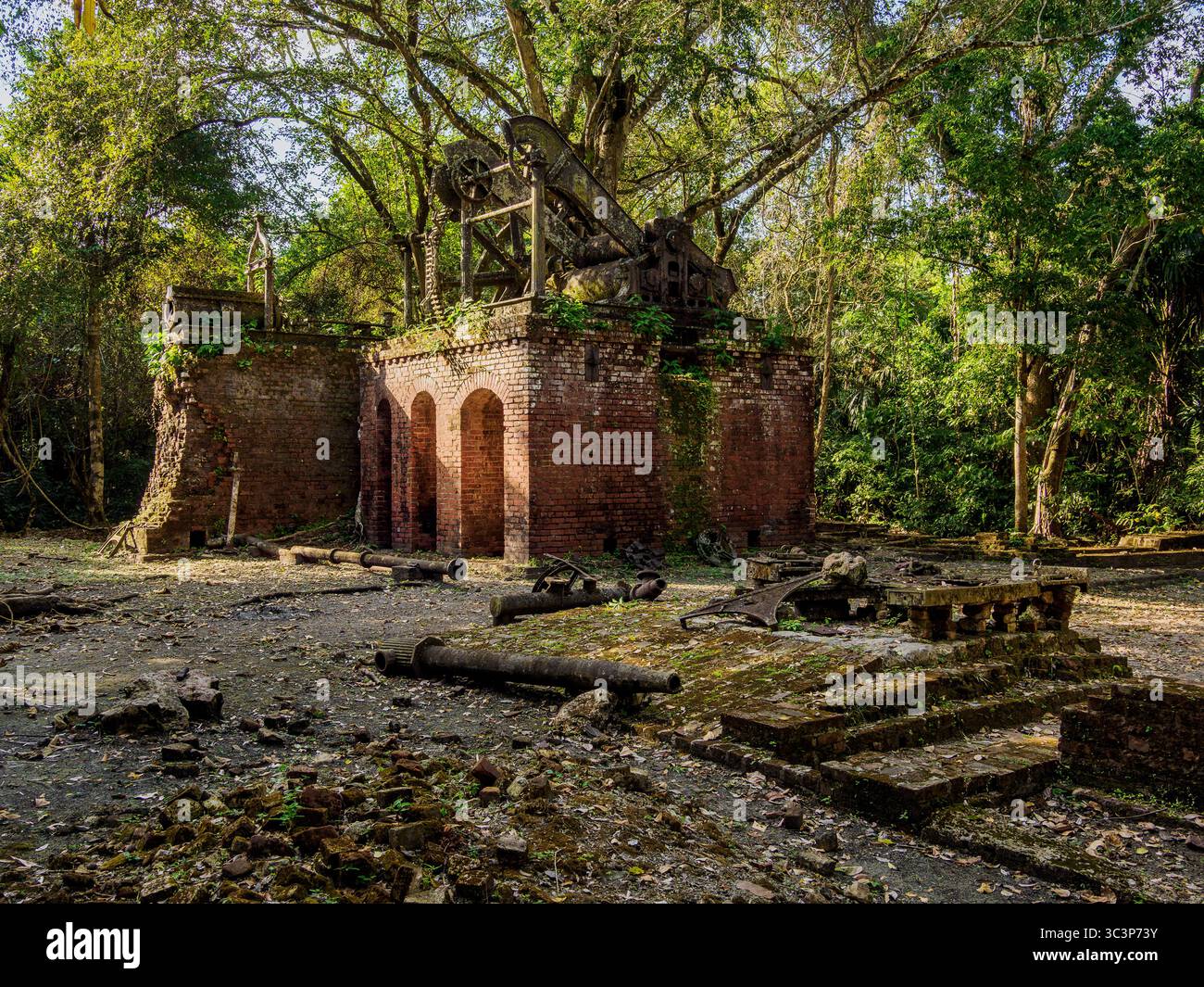 19th-Century Sugar Mill Ruins near Lamanai Archaeological Reserve, Indian Church, Orange Walk District, Belize Stock Photo