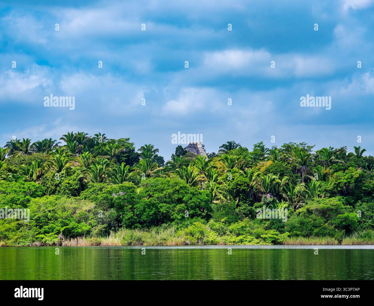 View over New River towards Lamanai Ruins, Orange Walk District, Belize Stock Photo