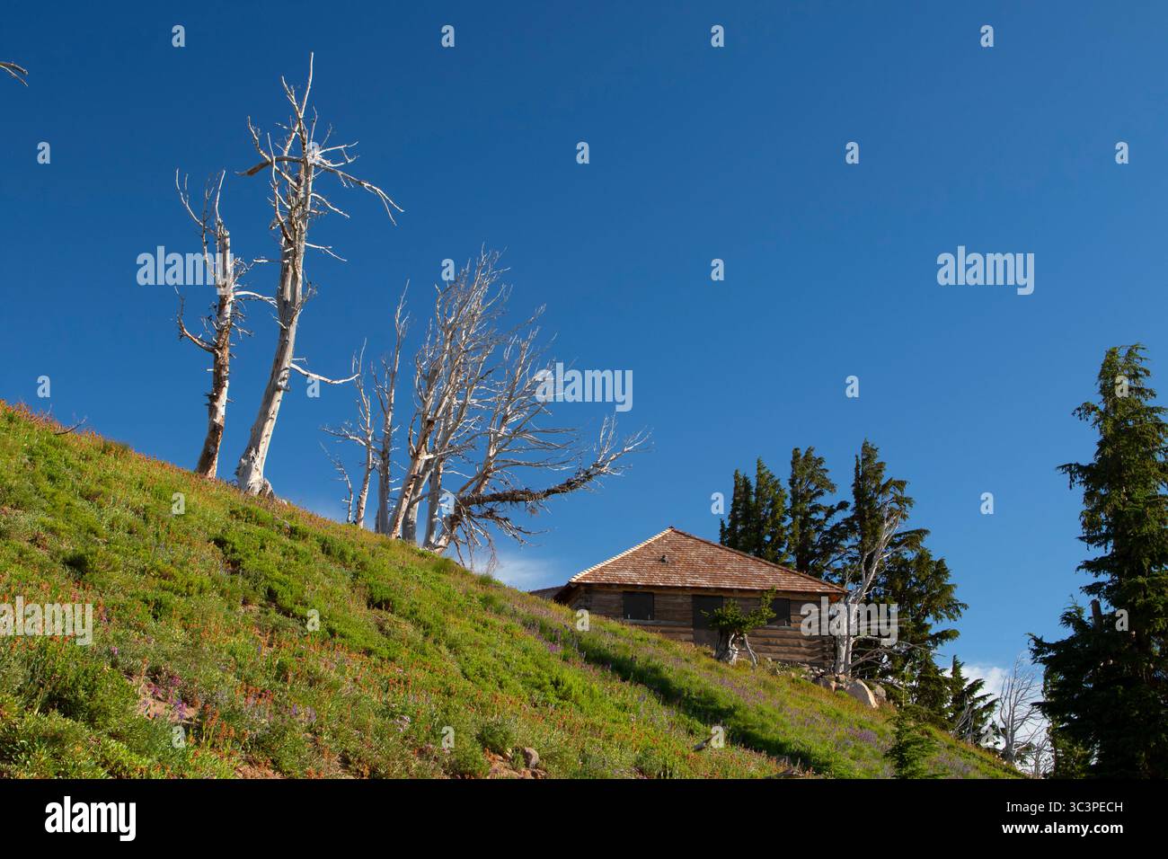 Cloud Cap Inn, Mt Hood National Forest, Oregon Stock Photo - Alamy