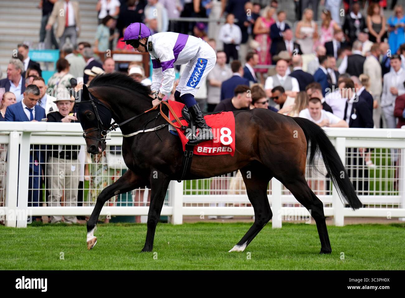 David Probert riding Fearnot goes to post ahead of the Betfred Handicap ...