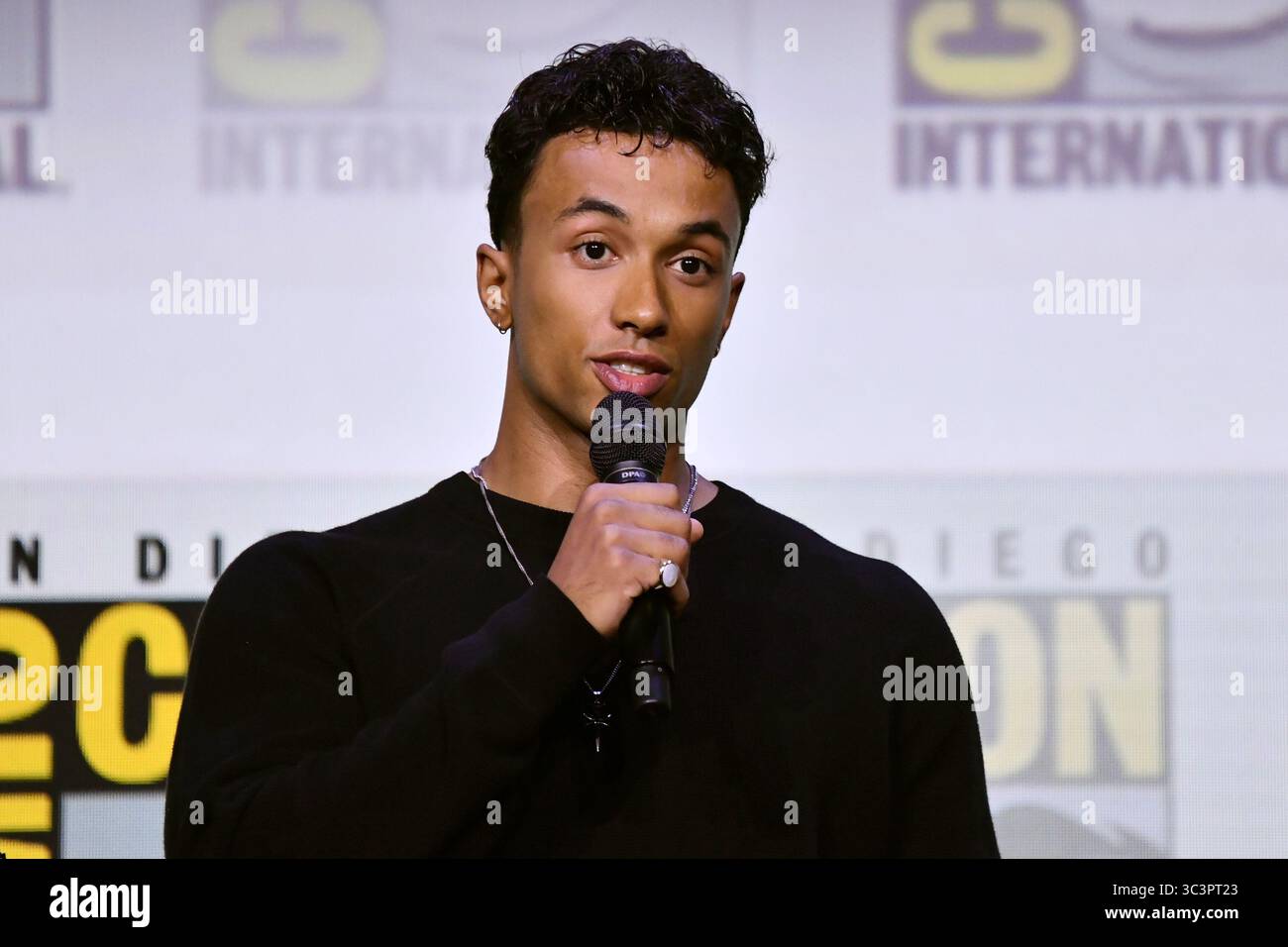 Sandro Rosta attends a panel for