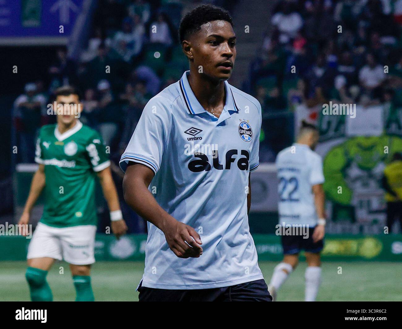 Match between Palmeiras and Gremio for the 17th round of the 2025 Brazilian Championship, at Allianz Parque, on the evening of this Saturday, 26th. Photo: Adriana Spaca (Adriana Spaca/SPP) Credit: SPP Sport Press Photo. /Alamy Live News Stock Photo
