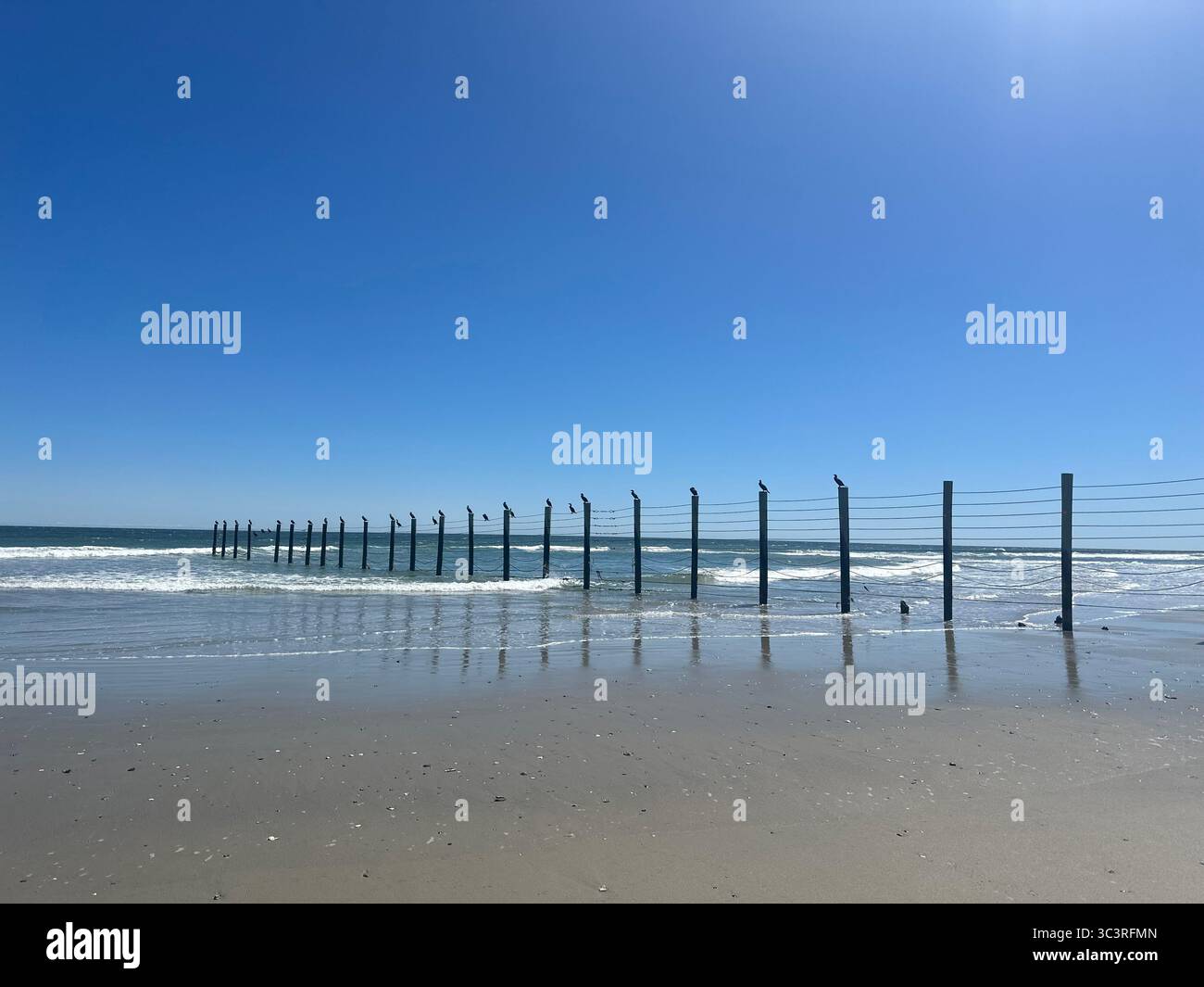 Fence posts, leading into Atlantic Ocean on the beach in Duck, Outer Banks, NC-- peaceful coastal scene under a blue vivid summer sky - Smartphone Captured Stock Image