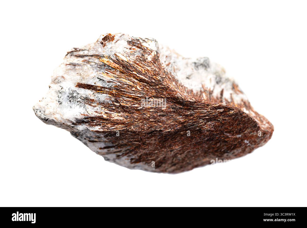 Astrophyllite, stellate aggregates. Rare brown to golden hydrous potassium iron titanium silicate mineral, with bladed or acicular crystals. Stock Photo