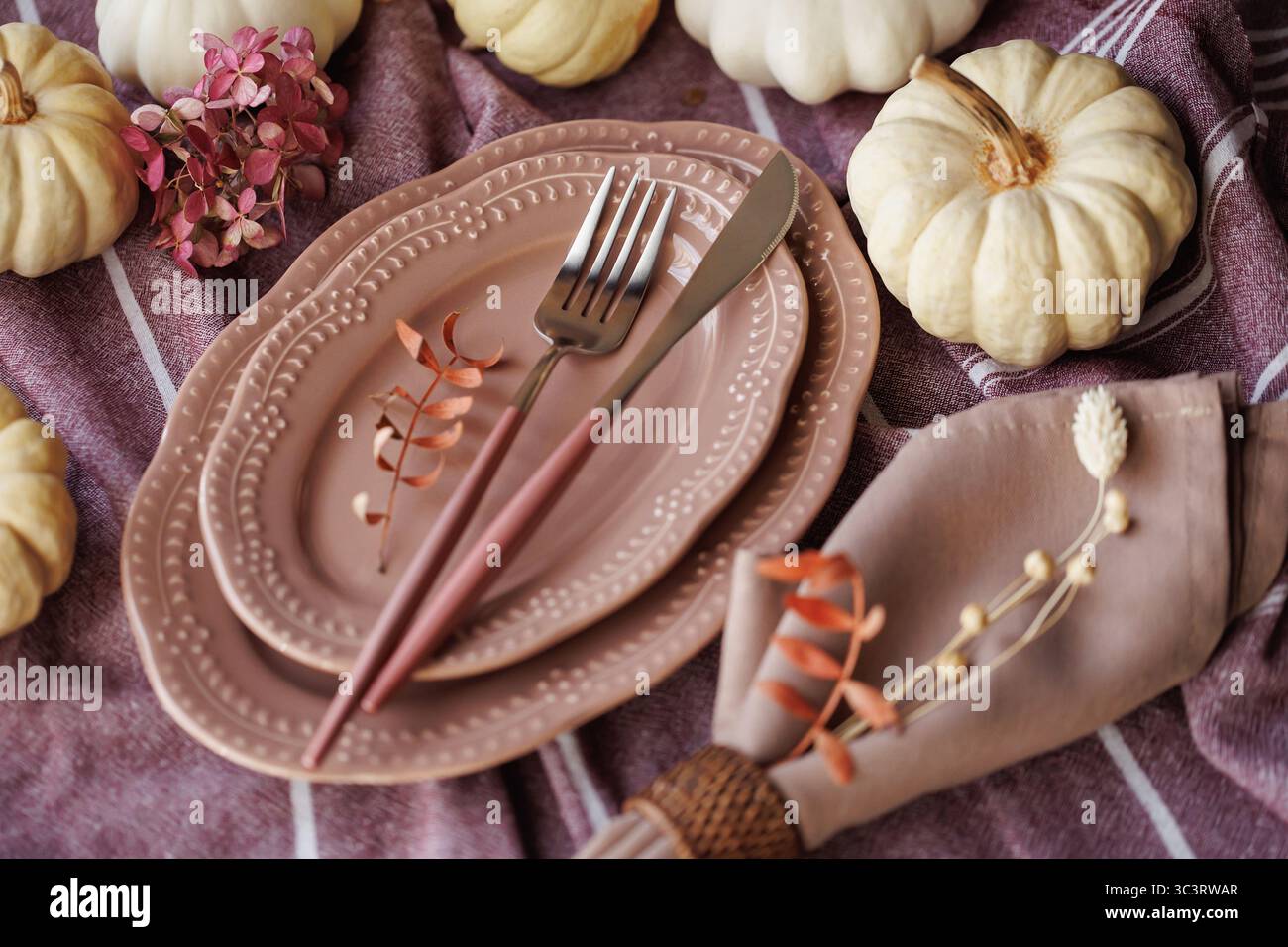 Elegant Thanksgiving table setting with pumpkins and rustic decor Stock Photo