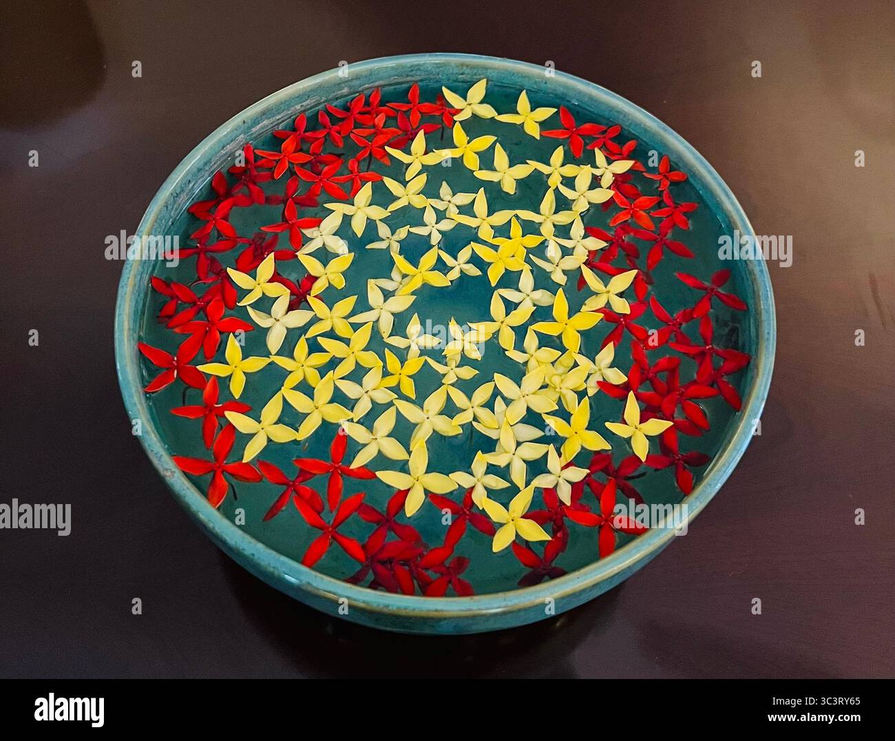 An overhead view of a teal-colored ceramic bowl filled with water, upon which numerous small, star-shaped flowers are floating. - Smartphone Captured Stock Image