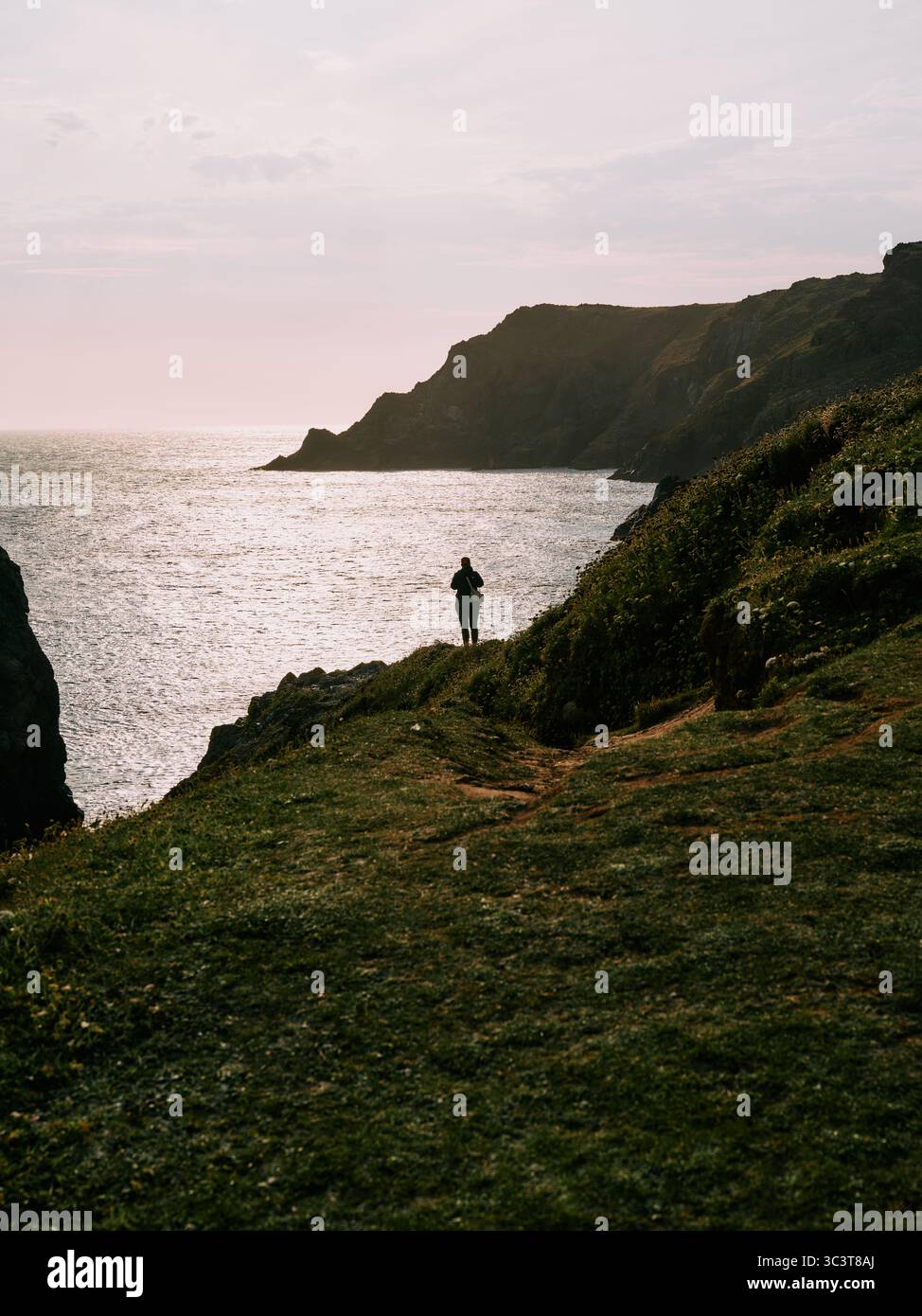 A lone figure standing in the coastline summer landscape at dusk on the Lizard Peninsula in Cornwall England UK Stock Photo