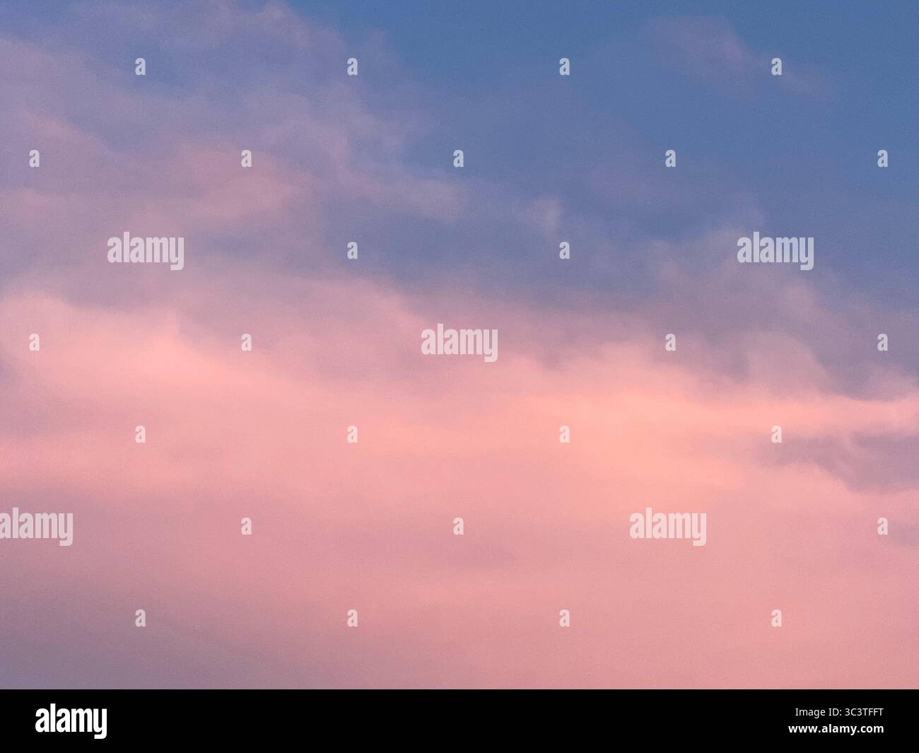 Pink and blue sky with soft clouds during the sunset in Canary Islands. - Smartphone Captured Stock Image