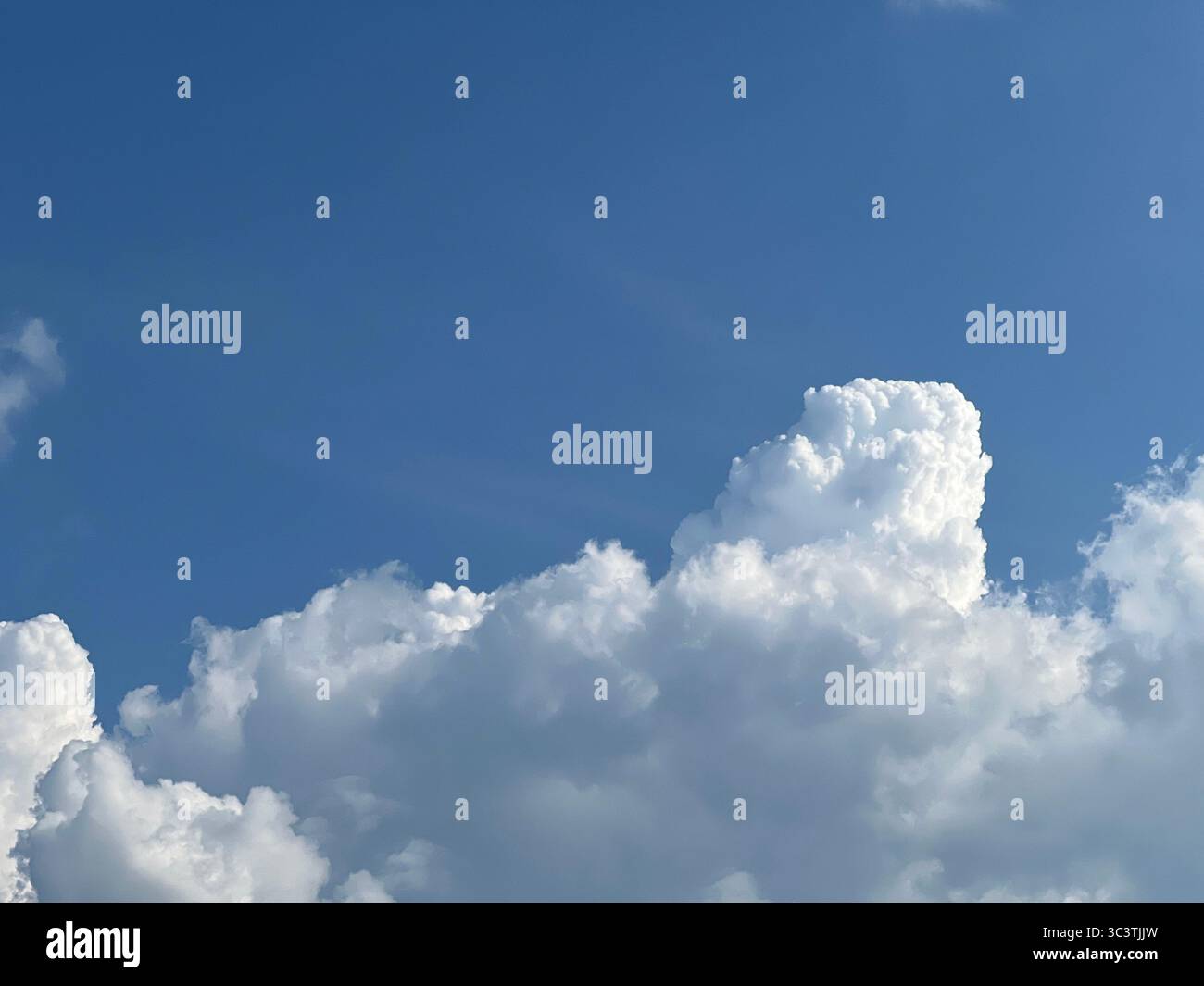 A stunning view of a puffy white cloud floating in a vibrant, clear blue sky. - Smartphone Captured Stock Image