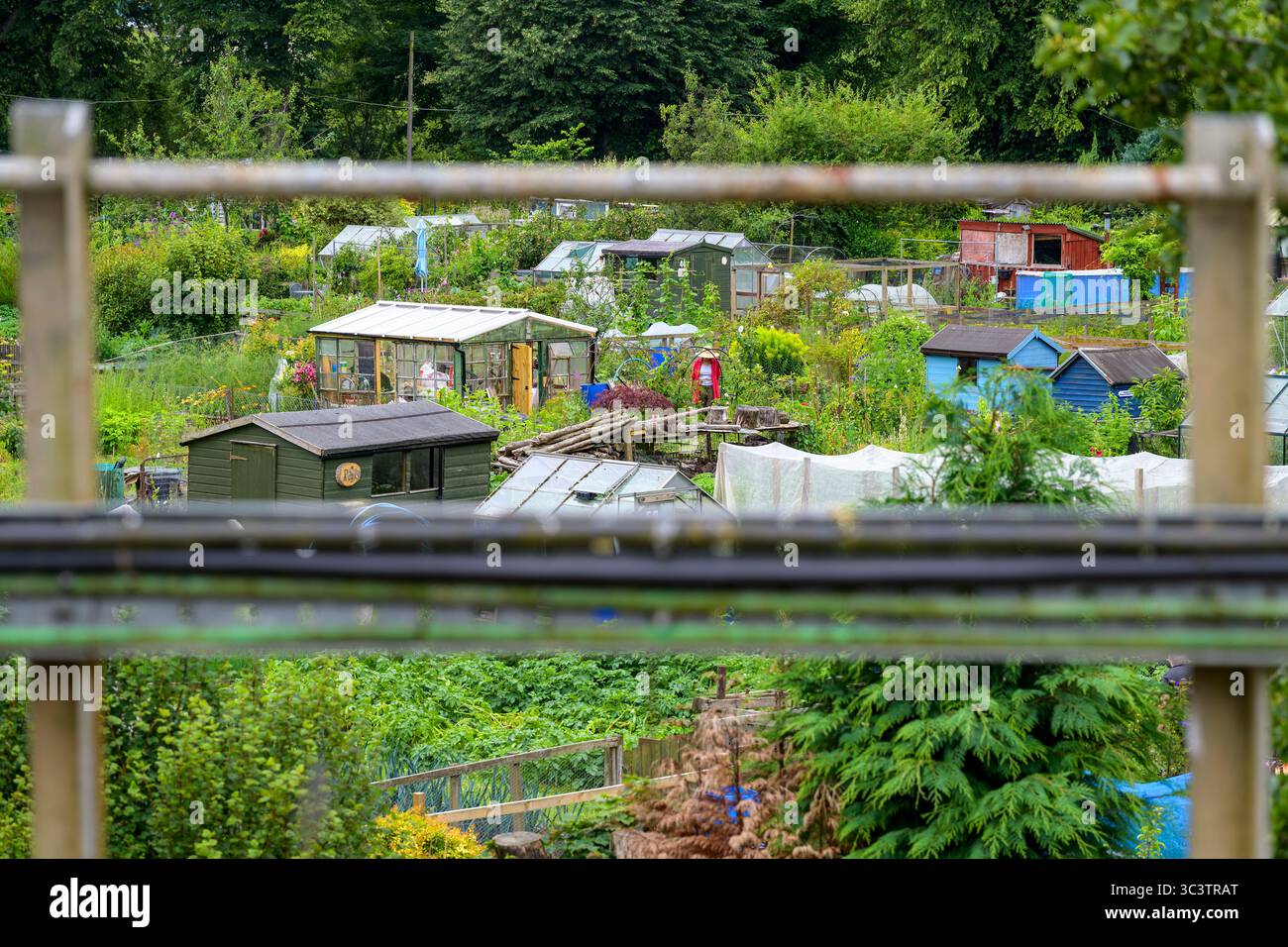 Moncrieffe Island Allotments, Perth, Perth and Kinross, Scotland, UK, Europe Stock Photo