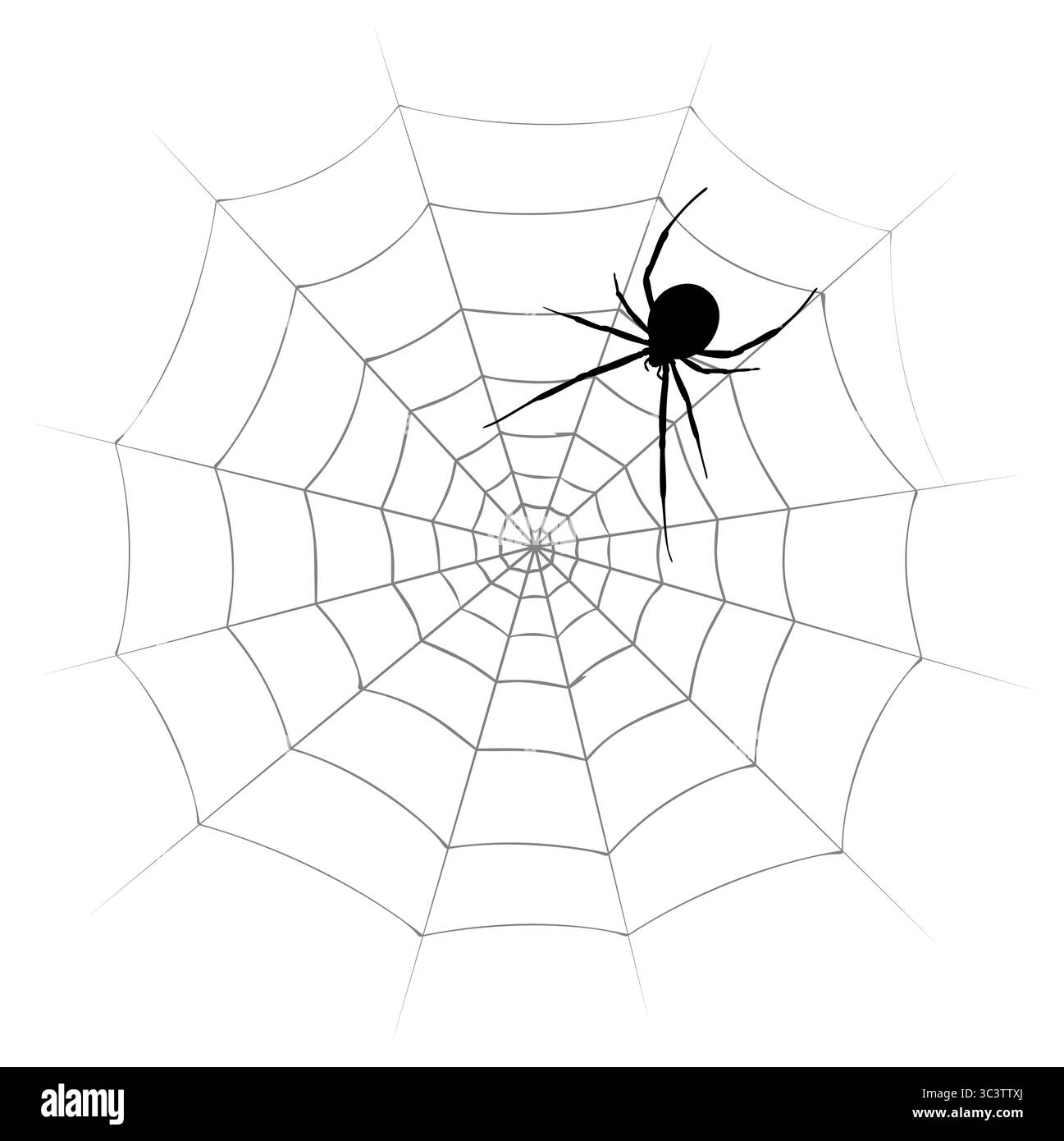Silhouette of a black spider with web. Stock Vector
