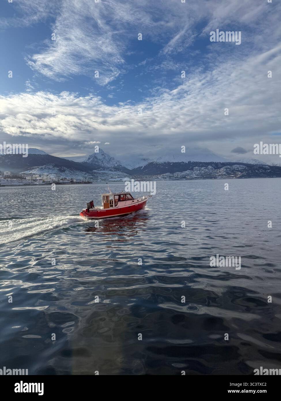 Naturaleza viva - Smartphone Captured Stock Image