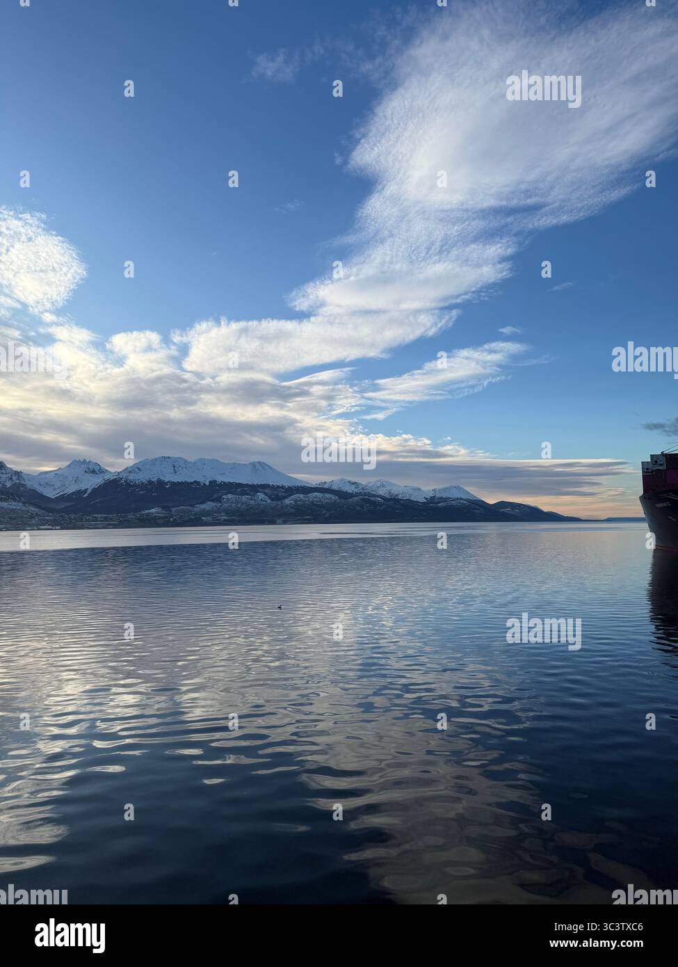 Naturaleza viva - Smartphone Captured Stock Image