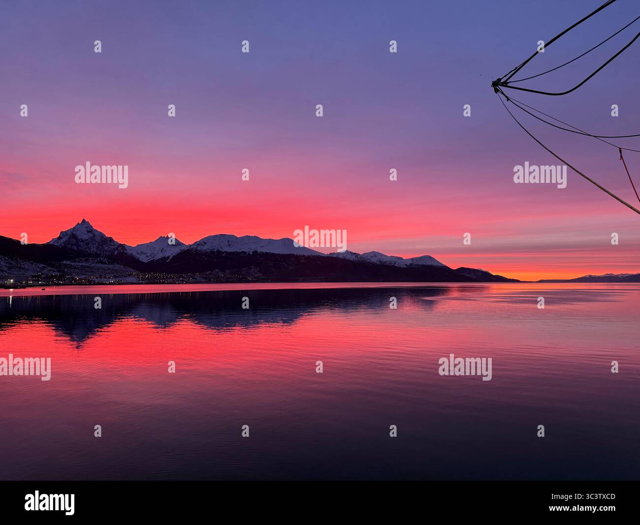 Naturaleza viva - Smartphone Captured Stock Image