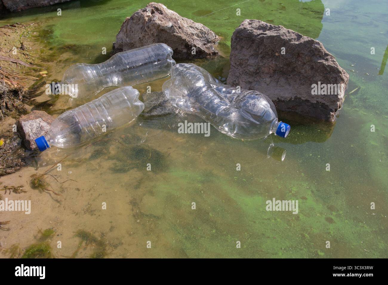 Plastic bottles and trash polluting a pond with green algae ...