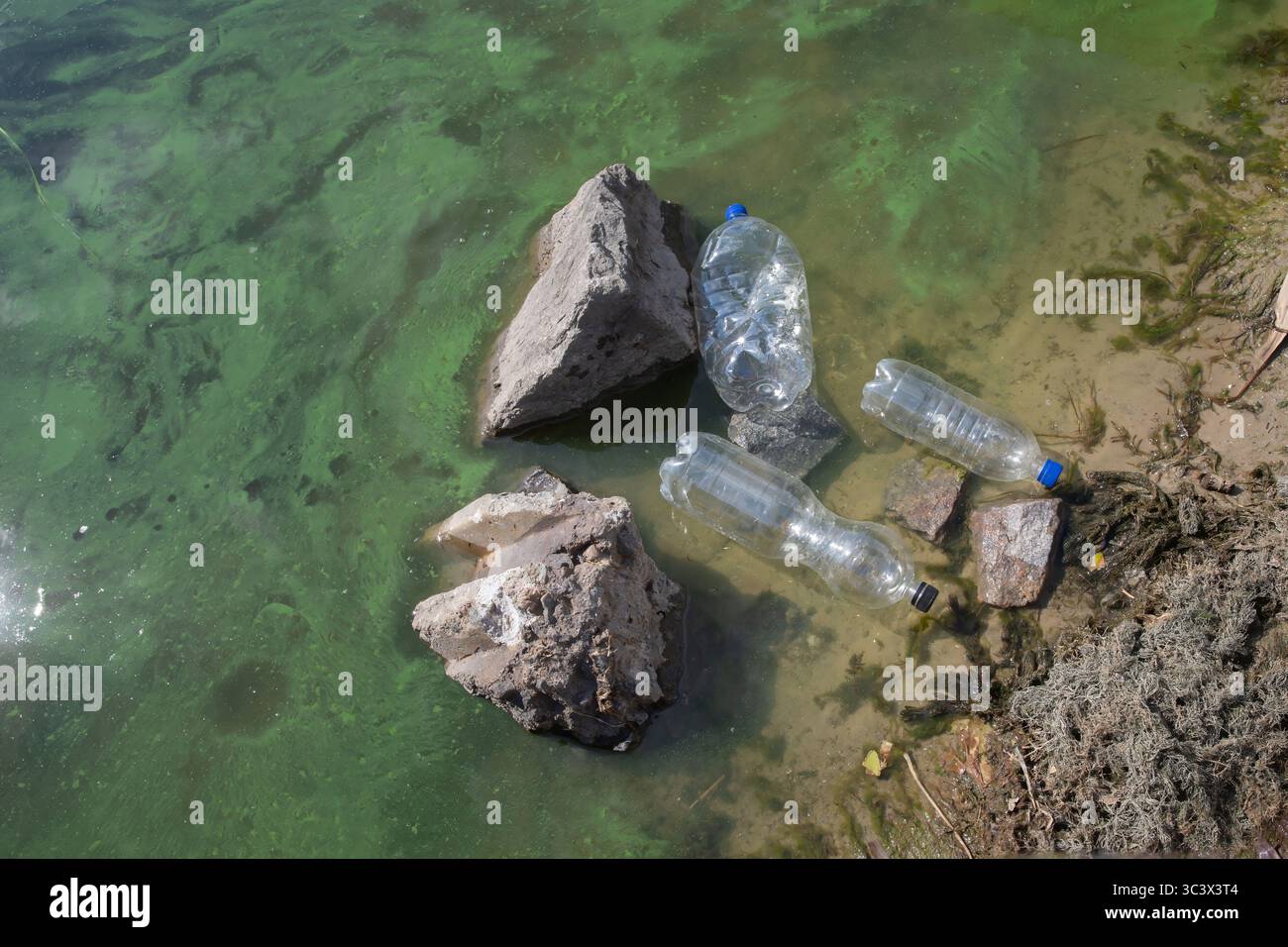 Plastic bottles and trash polluting a pond with green algae ...
