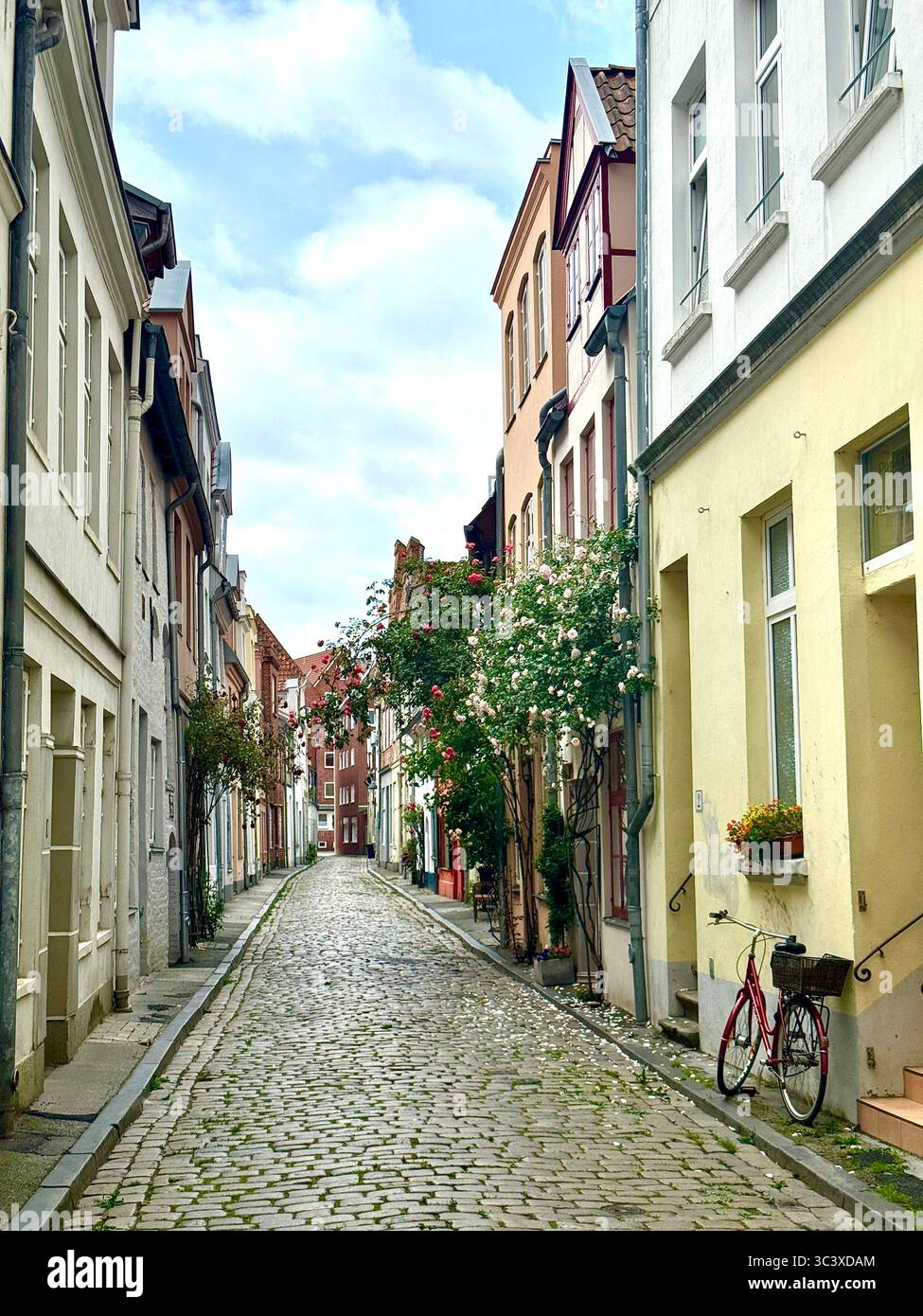Quaint cobblestone street lined with historic houses and flowering trees in Lübeck, Germany. - Smartphone Captured Stock Image