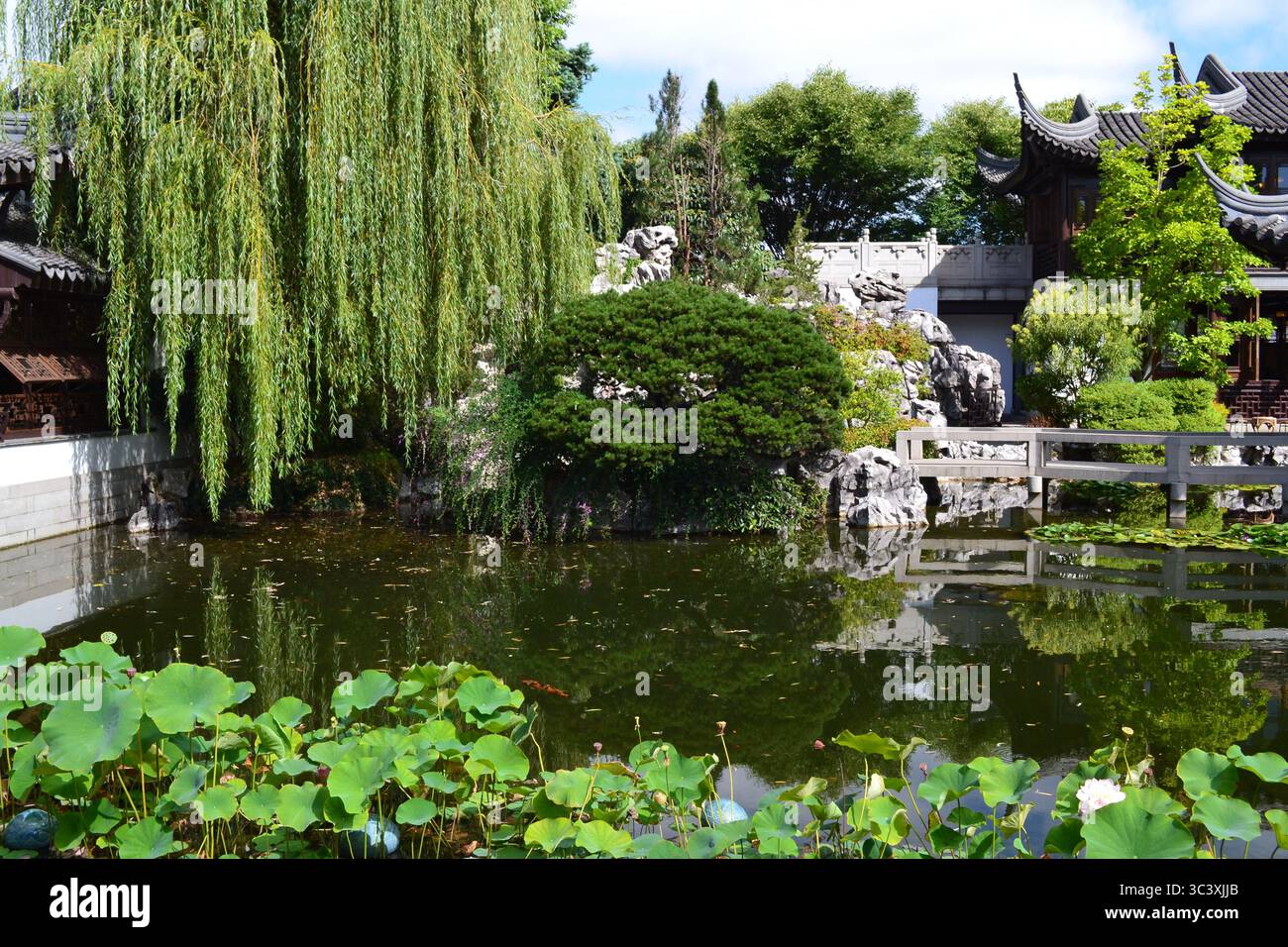 Traditional Japanese water garden with plants, shrubs, rocks and