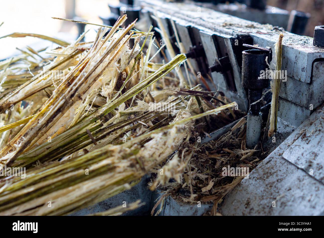 The process of making brown sugar. Brown sugar is made from sugar cane ...
