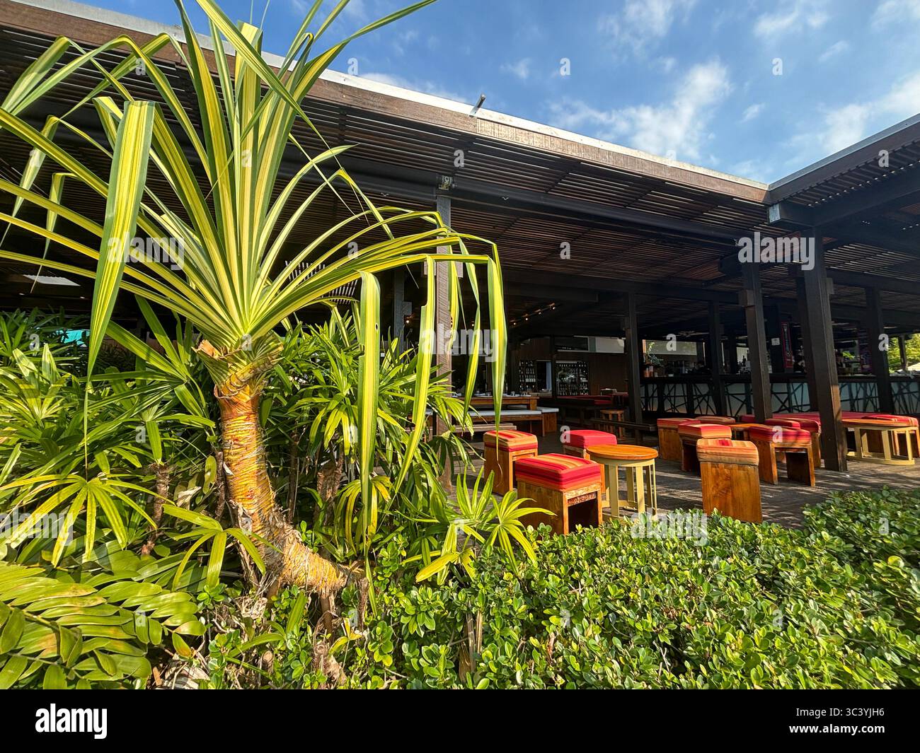 Al fresco drinking area overlooking marina, The Salt House, Cairns, Queensland, Australia. No PR - Smartphone Captured Stock Image