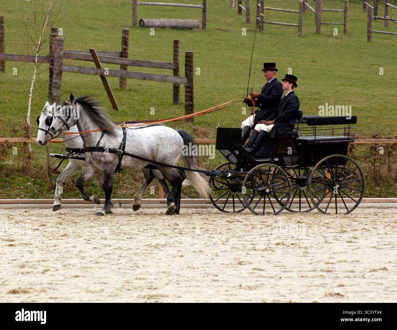 Wagon Pulled By Horses Is An Old Tradition Carriages Pulled By Horses wagon-pulled-by-horses-is-an-old-tradition-carriages-pulled-by-horses