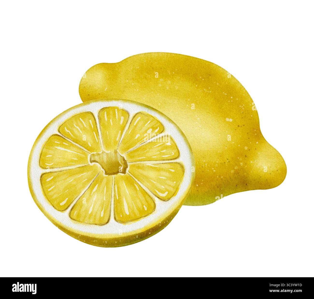 Lemon fruit with juicy sliced half, watercolor drawing on white background. Perfect for food packaging, kitchen decor, citrus labels, summer design, m Stock Photo
