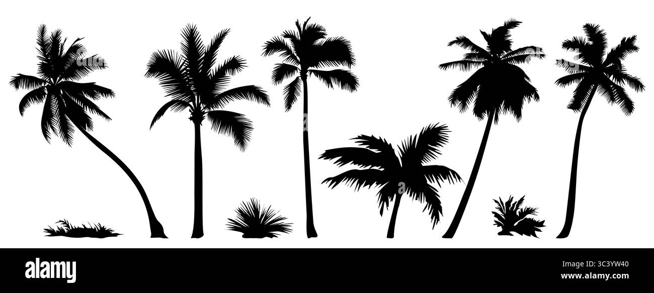 Palm tree black silhouettes set isolated on white Stock Vector Image ...
