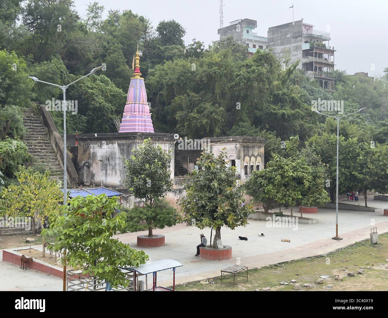 A colourful temple surrounded by greenery and urban buildings, Gaya ...