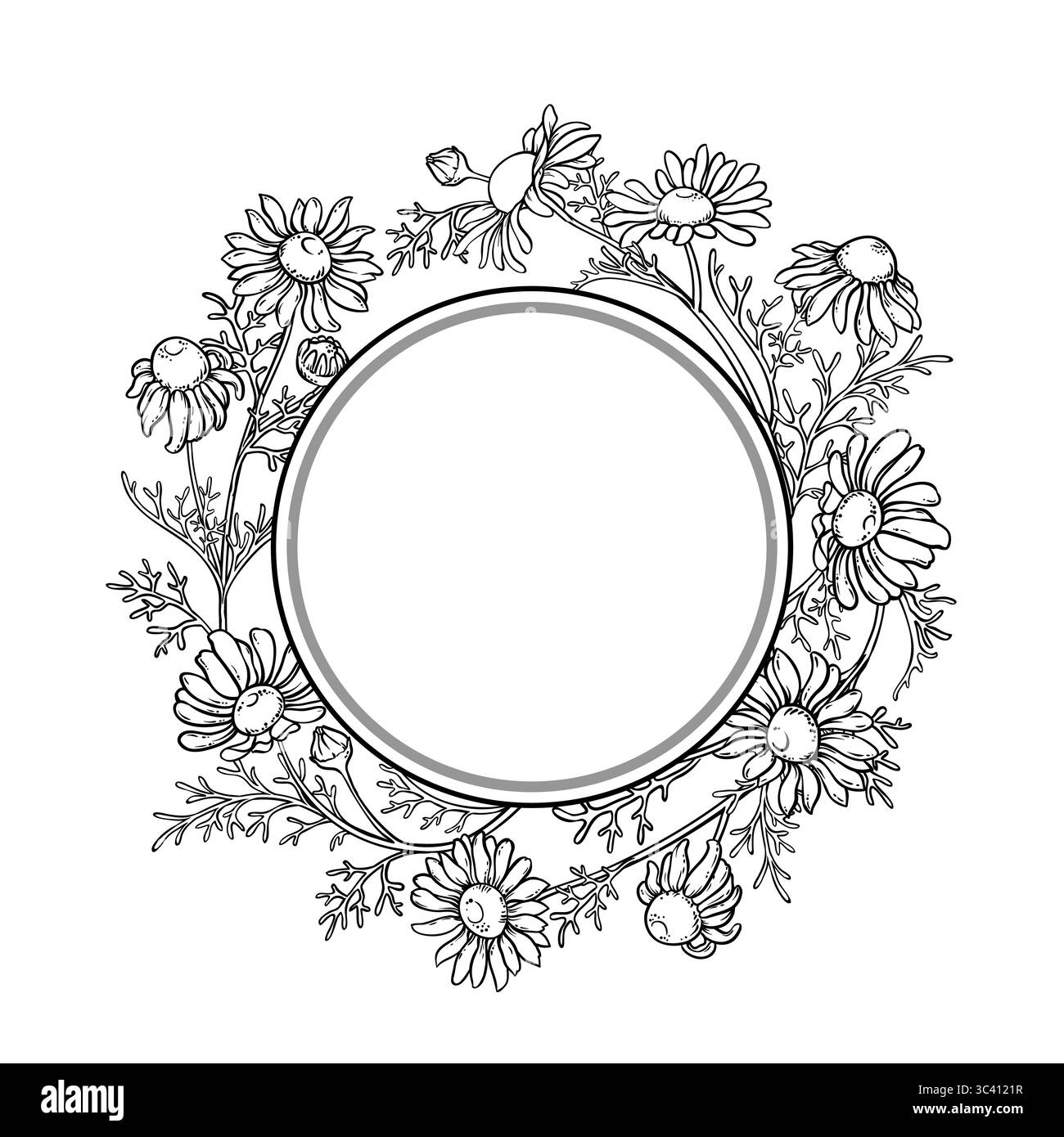 Chamomile Flowers Outline Round Frame Stock Vector Image & Art - Alamy