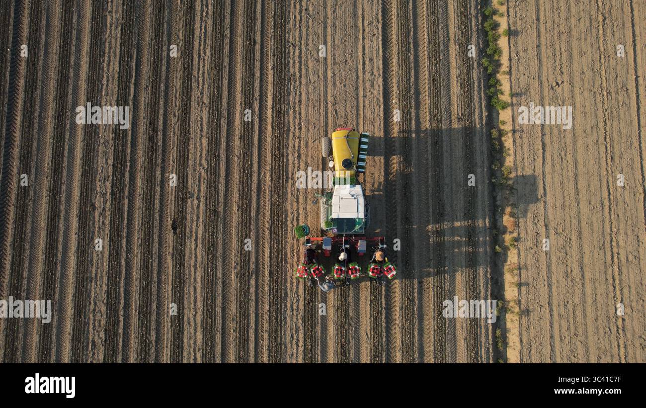 Piacenza Italy April 23rd 2025 Farmers driving tractor with planting Piacenza Italy April 23rd 2025 Farmers driving tractor with planting