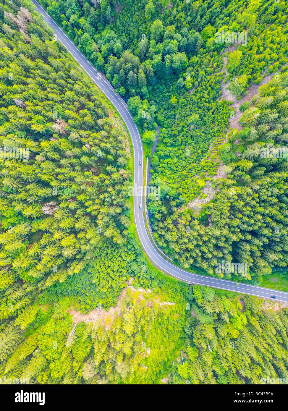 A winding asphalt road snakes through a lush green forest valley. The ...