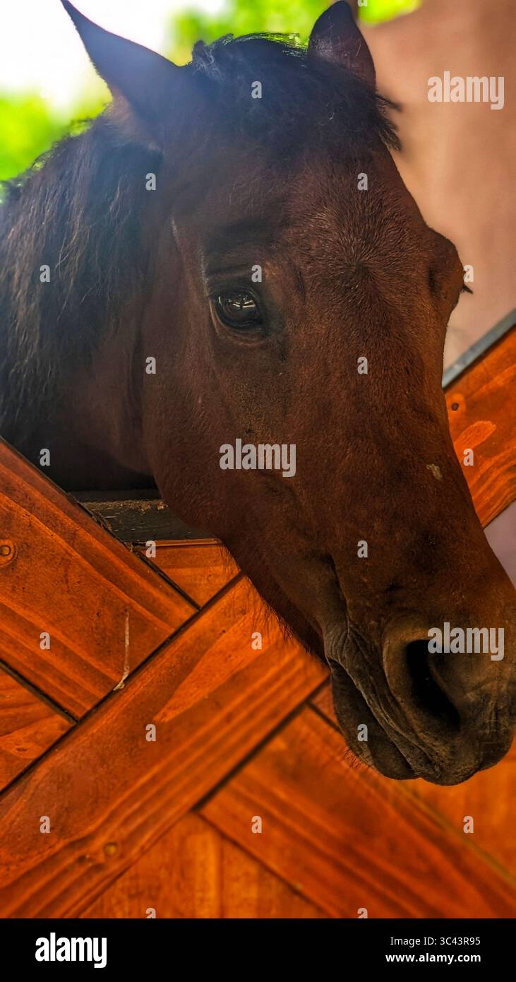 breathtaking sunset photography scene unfolds at Batu Caves Malaysia, where a golden hour sky meets urban tower lights and road night lighting. From - Smartphone Captured Stock Image