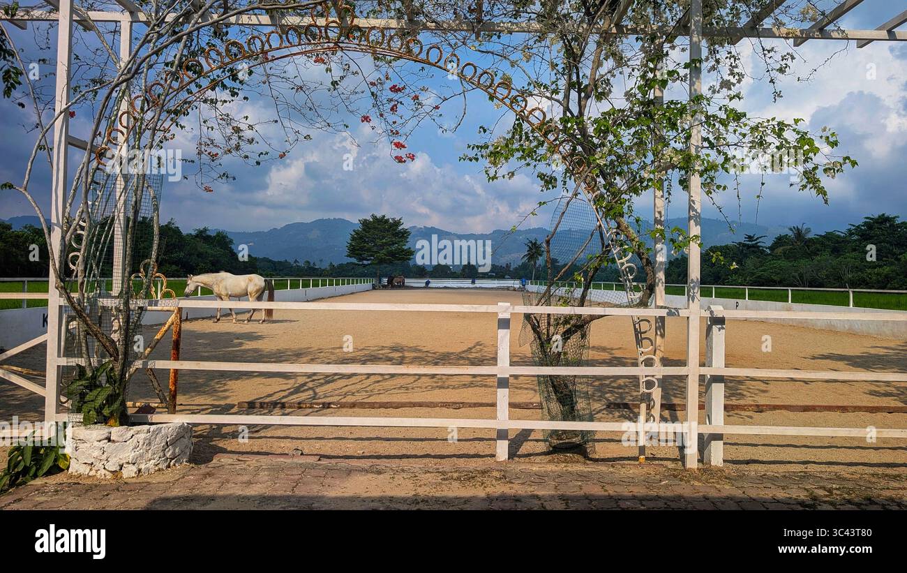 breathtaking sunset photography scene unfolds at Batu Caves Malaysia, where a golden hour sky meets urban tower lights and road night lighting. From - Smartphone Captured Stock Image