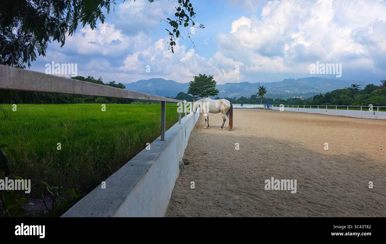 breathtaking sunset photography scene unfolds at Batu Caves Malaysia, where a golden hour sky meets urban tower lights and road night lighting. From - Smartphone Captured Stock Image