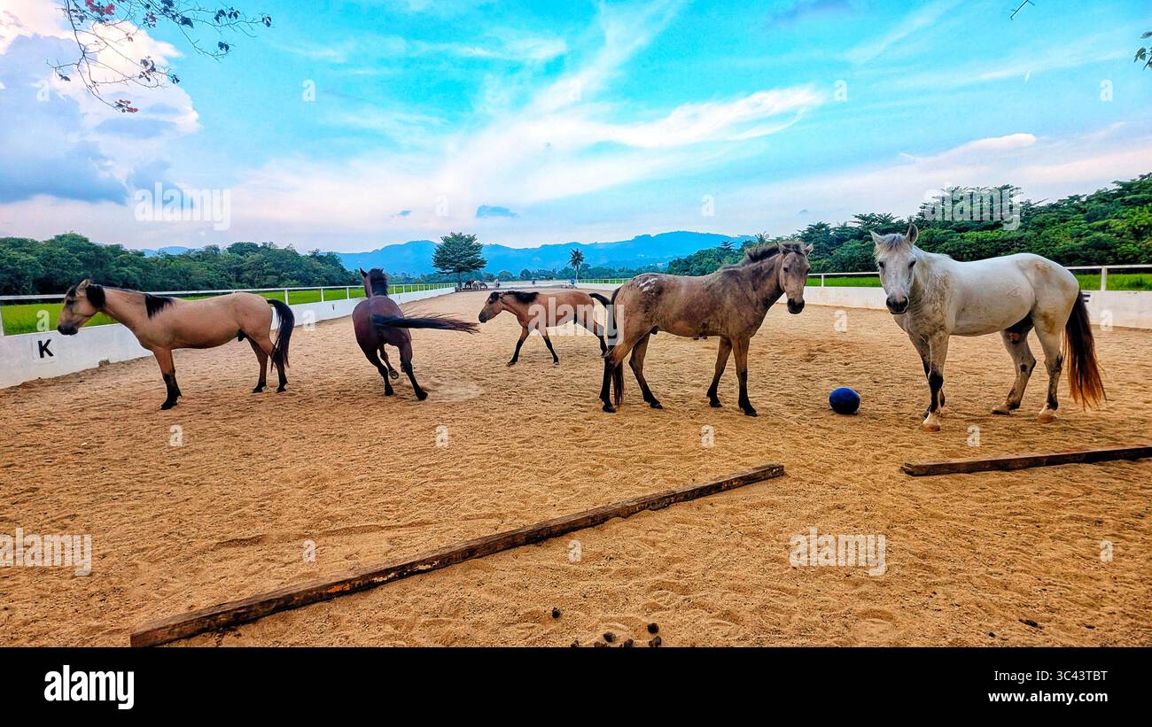 breathtaking sunset photography scene unfolds at Batu Caves Malaysia, where a golden hour sky meets urban tower lights and road night lighting. From - Smartphone Captured Stock Image