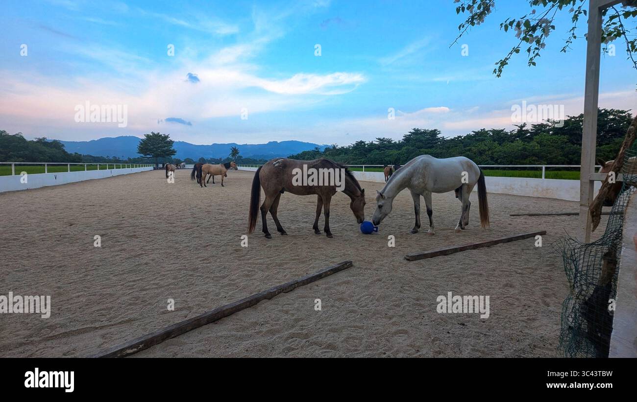 breathtaking sunset photography scene unfolds at Batu Caves Malaysia, where a golden hour sky meets urban tower lights and road night lighting. From - Smartphone Captured Stock Image