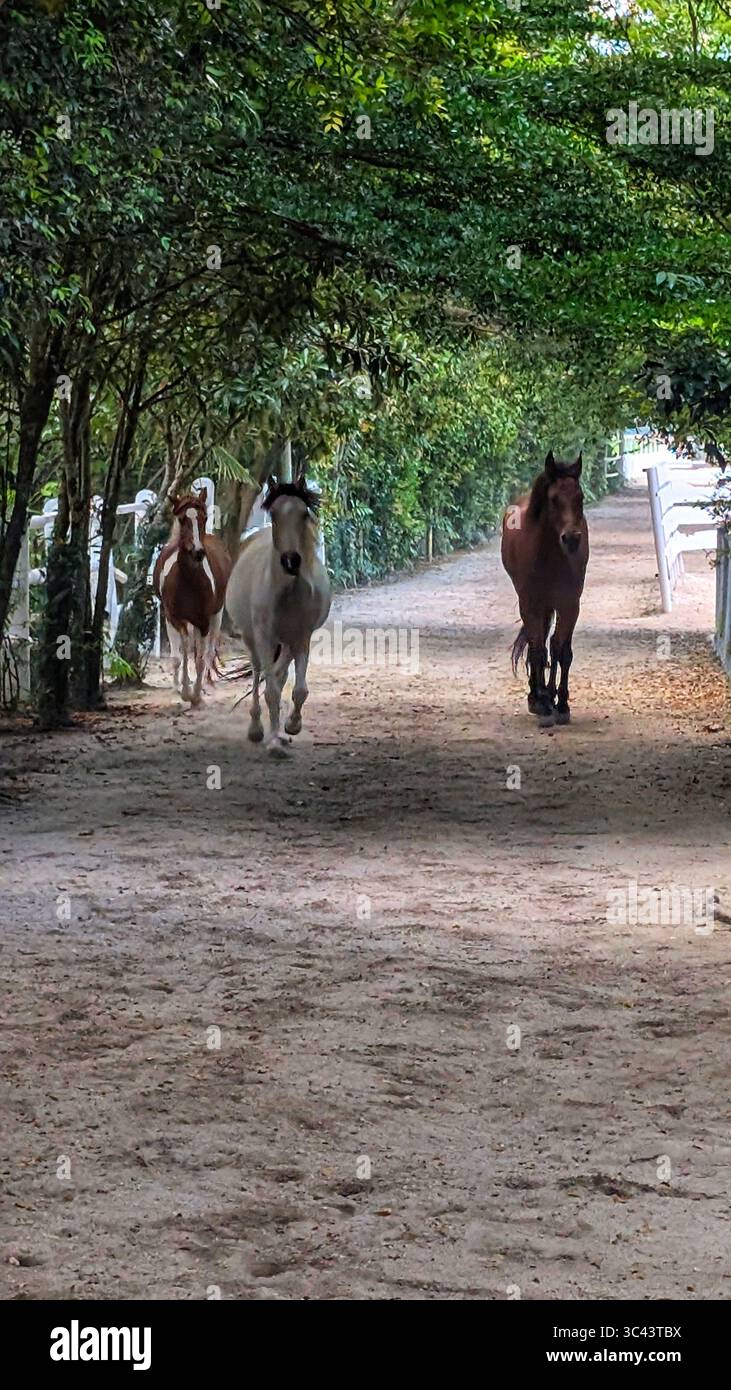 breathtaking sunset photography scene unfolds at Batu Caves Malaysia, where a golden hour sky meets urban tower lights and road night lighting. From - Smartphone Captured Stock Image