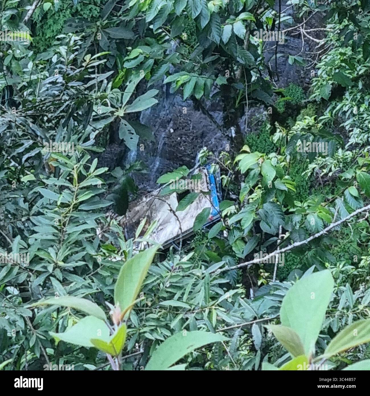 Rainforest Landscapes of Death Road Bolivia - Smartphone Captured Stock Image