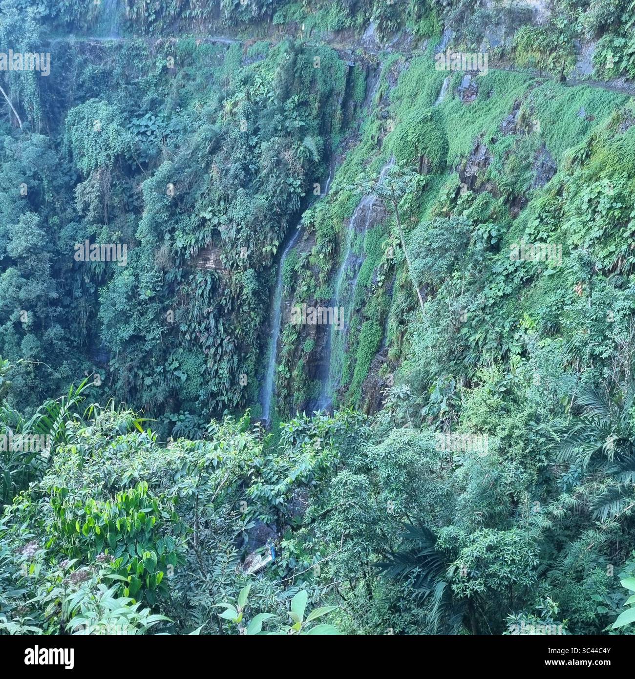 Rainforest Landscapes of Death Road Bolivia - Smartphone Captured Stock Image