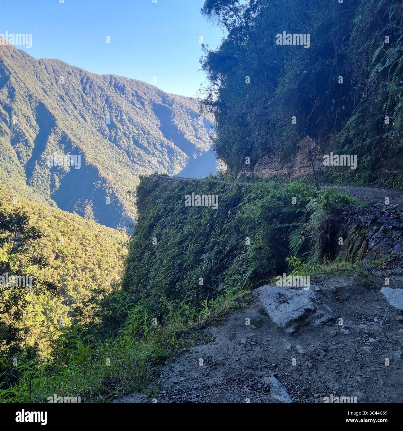 Mountain Landscapes of Death Road Bolivia - Smartphone Captured Stock Image