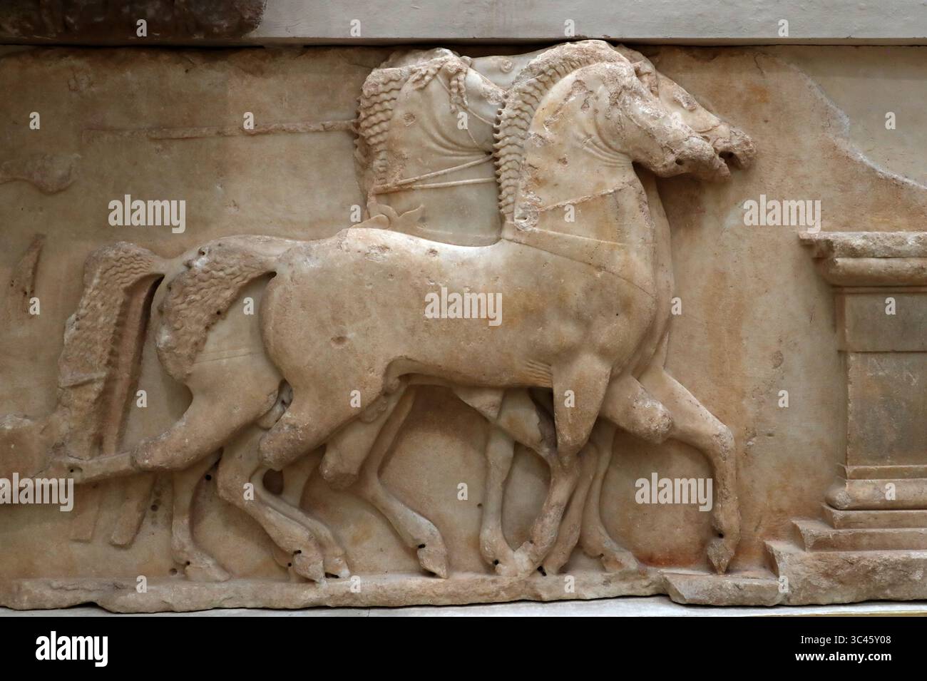 Ancient Classical Greek Horses from a Marble Quadriga or Ancient