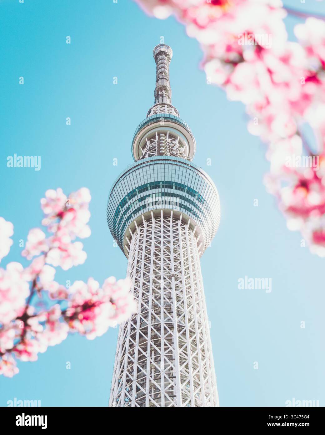 Pink sakura geometric japanese patterns hi-res stock photography and ...