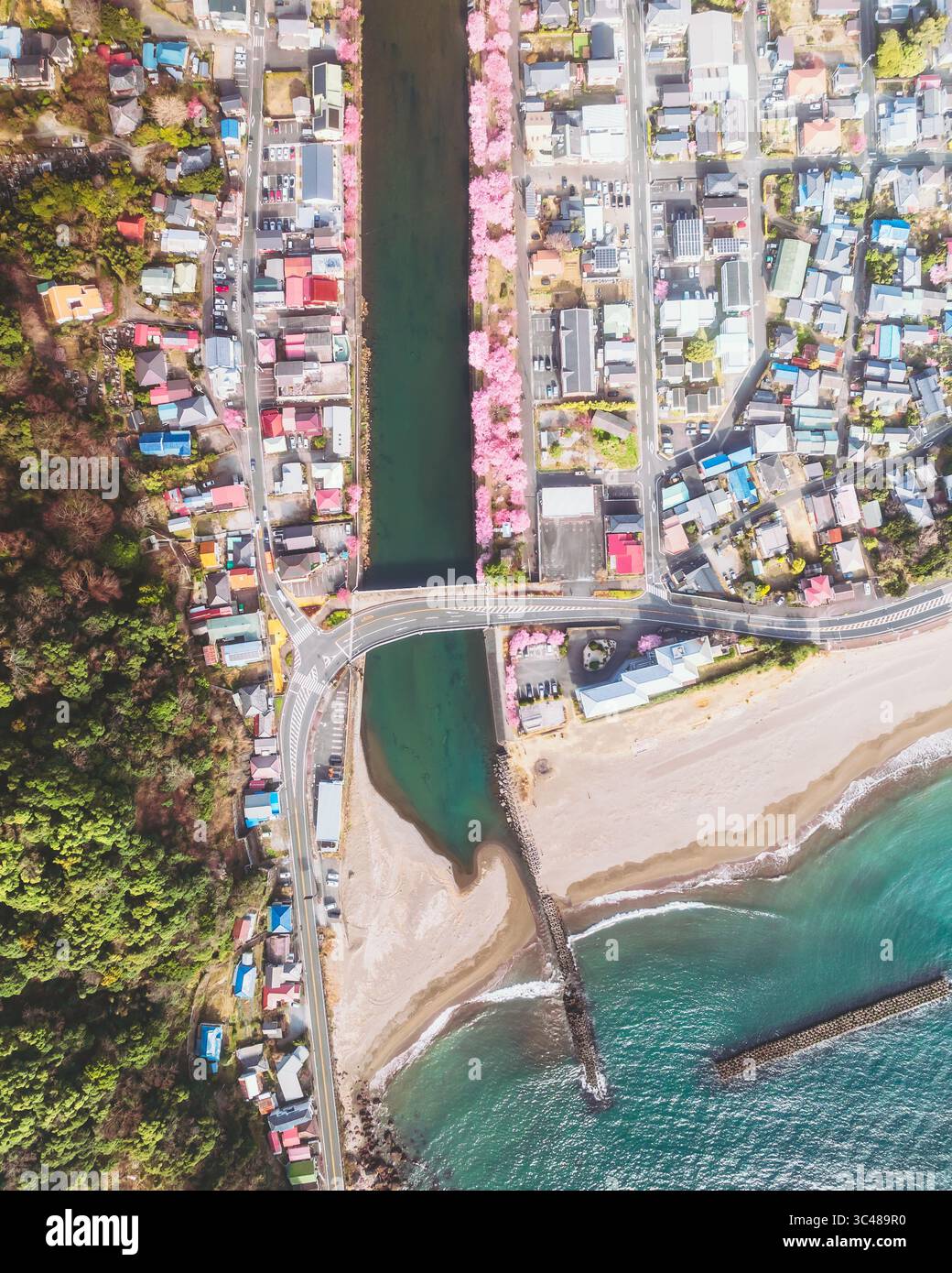 Aerial view of the river mouth meeting the sea, lined with vibrant ...