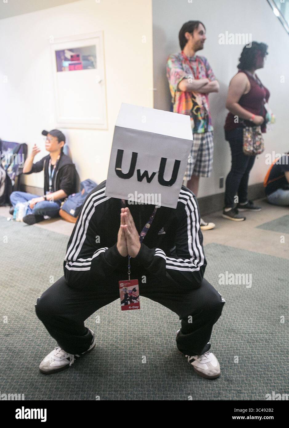 Uwu hi-res stock photography and images - Alamy