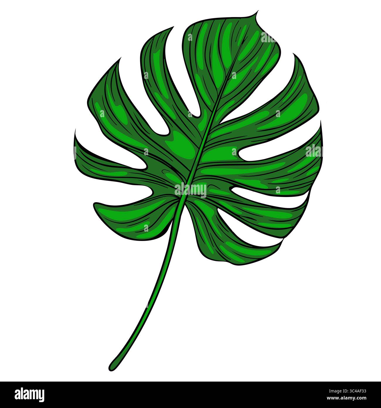 A vector vibrant green monstera leaf with distinct split leaves and a long stem, showcasing a tropical and lush appearance. Stock Vector