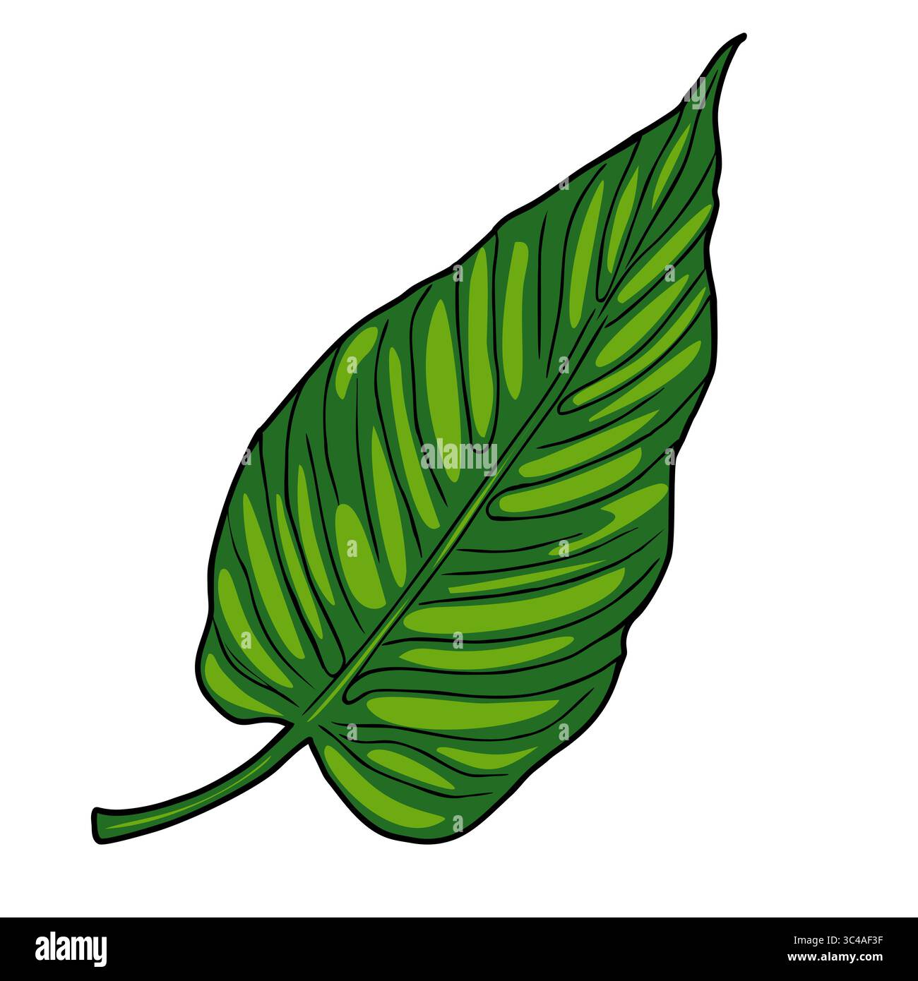 A vector vibrant green leaf with detailed veins and a glossy texture ...
