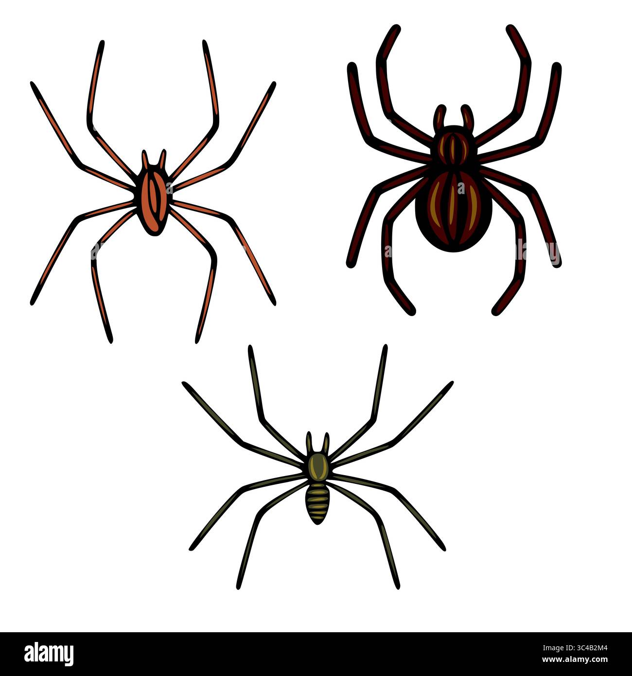 Varying leg lengths hi-res stock photography and images - Alamy