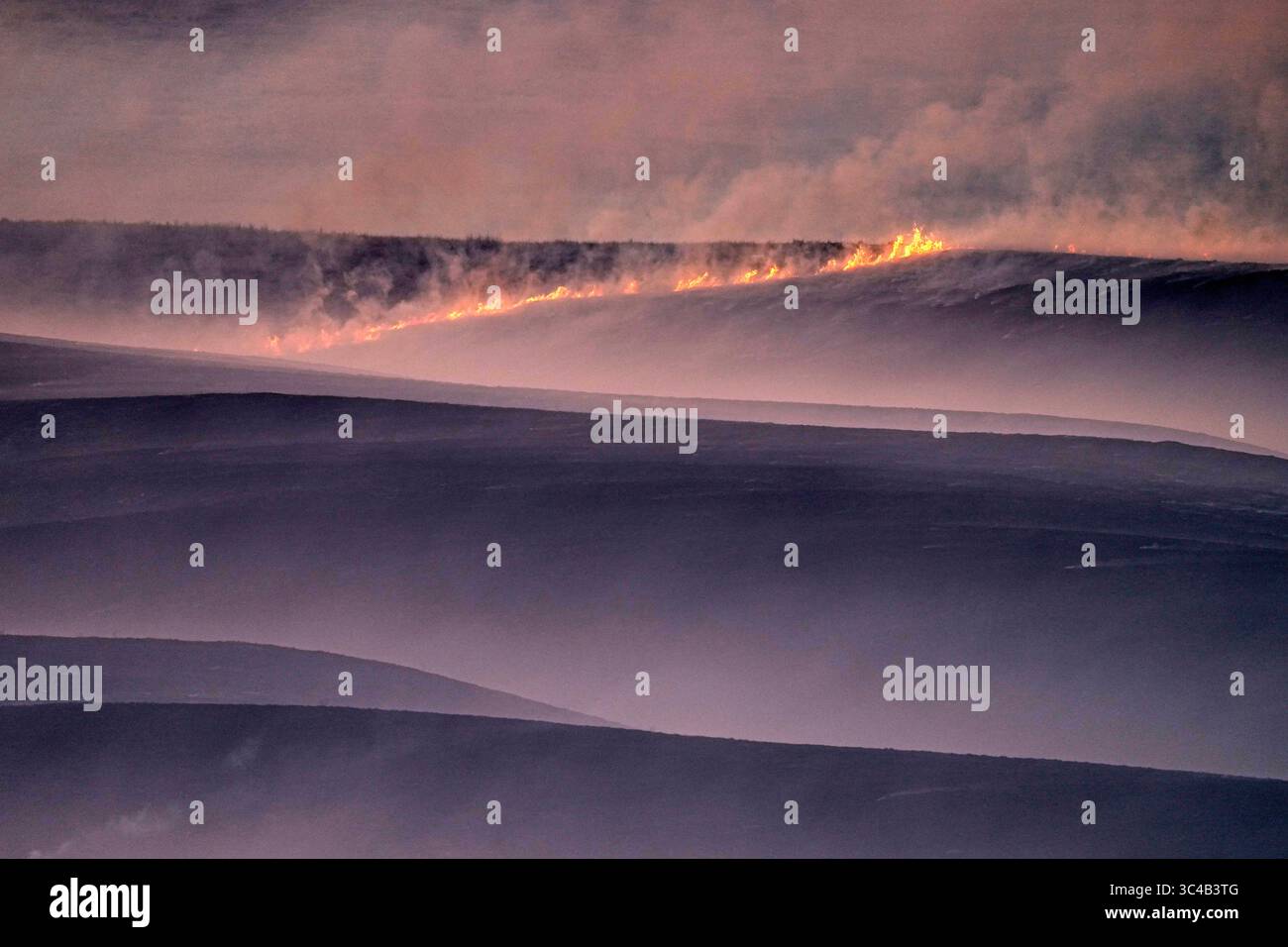 FILE- Wind fueled fires burn in a pasture which was part of a fire that ...